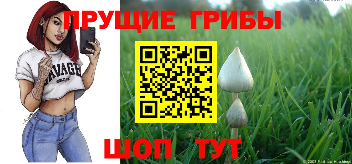 Псилоцибиновые грибы Magic Shrooms  Вход с VPN  Псилоцибиновые грибы мицелий  Нурлат 