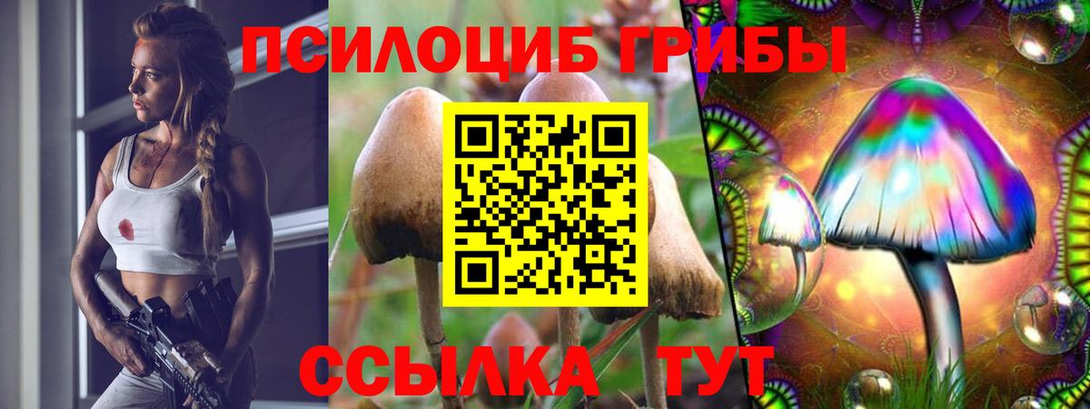 Псилоцибиновые грибы MAGIC MUSHROOMS Нурлат